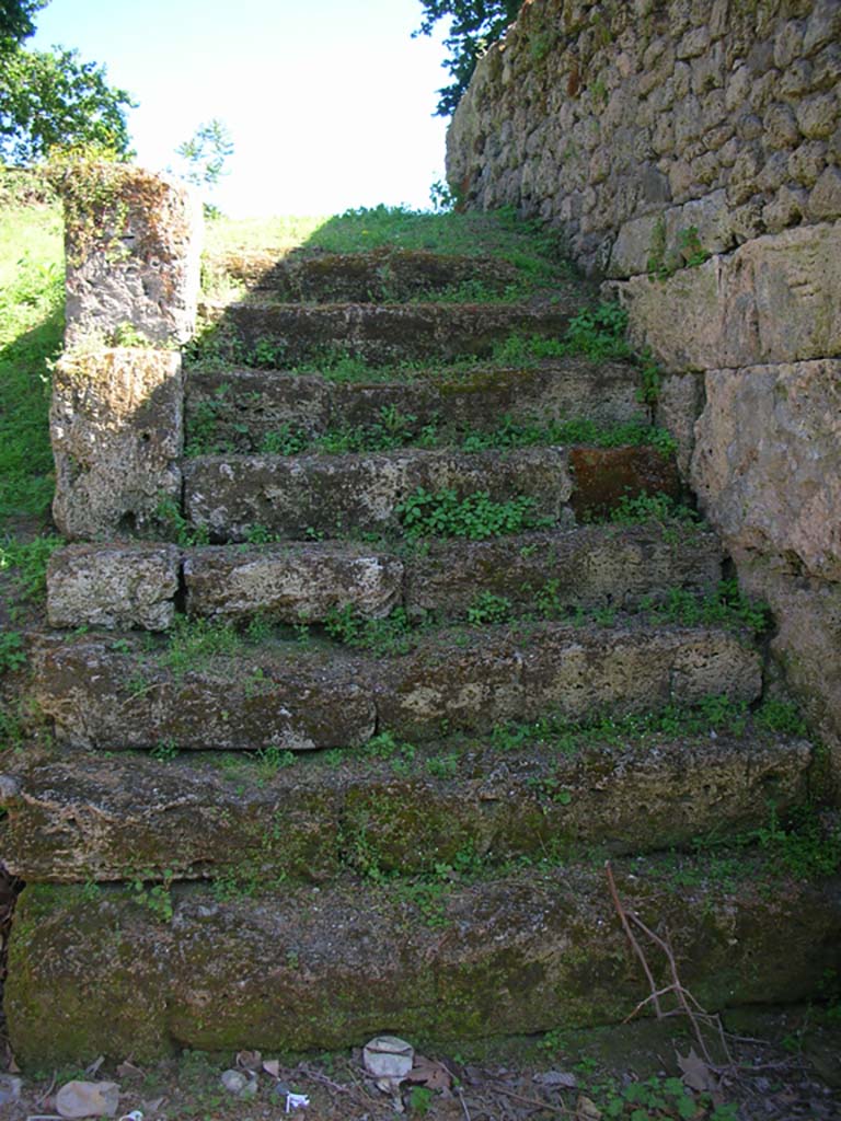 Porta Stabia, Pompeii. May 2010. 
Steps, looking south along east side of gate. Photo courtesy of Ivo van der Graaff.
