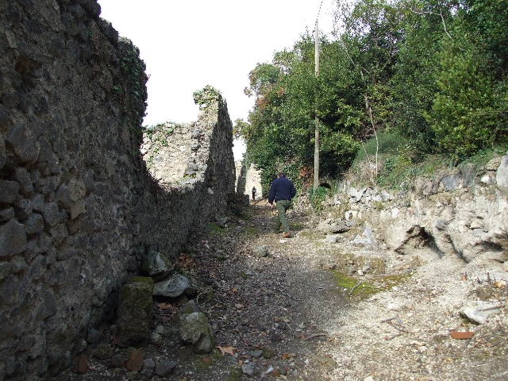 Side wall of I.2.23. December 2006. Vicolo del Citarista looking north. I.19 unexcavated.