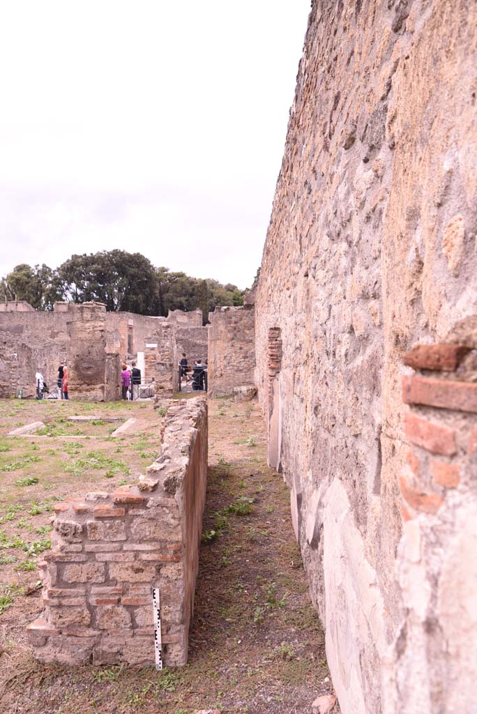 I.4.2 Pompeii. October 2019. Detail of wall on south side of corridor in garden area.
Foto Tobias Busen, ERC Grant 681269 DCOR.
