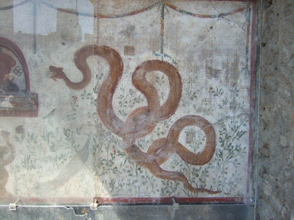 I.6.2 Pompeii. May 2017. Detail of painted serpent at north end of painted lararium. Photo courtesy of Buzz Ferebee. 