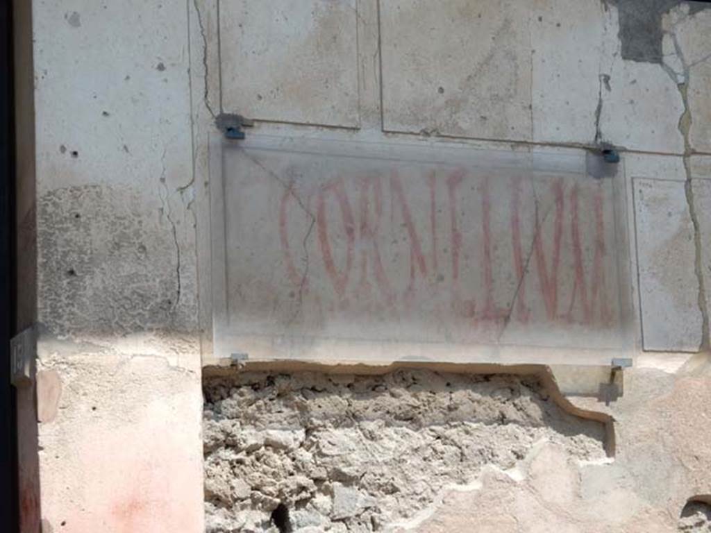 I.6.15 Pompeii. Graffito found on front of house, to right of entrance.
C(aium)  Cornelium 
aed(ilem)  Tyrsus  [ro]gat     [CIL IV 7190]
