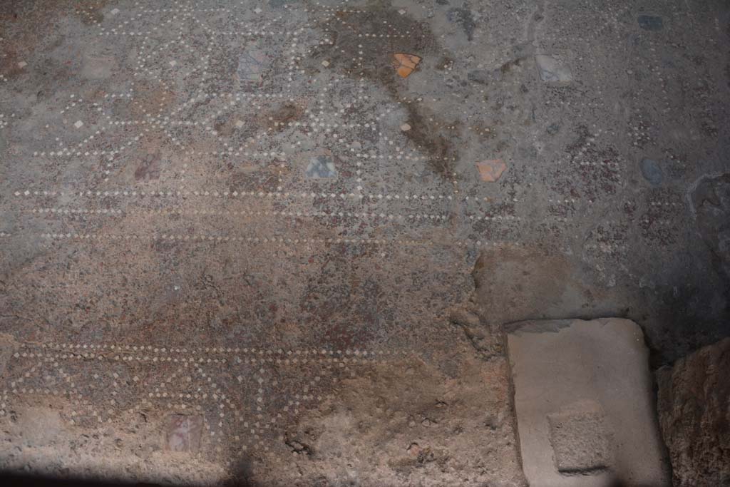 I.6.15 Pompeii. June 2019. Room 6, looking south to atrium across mosaic floor in tablinum.
Photo courtesy of Buzz Ferebee.

