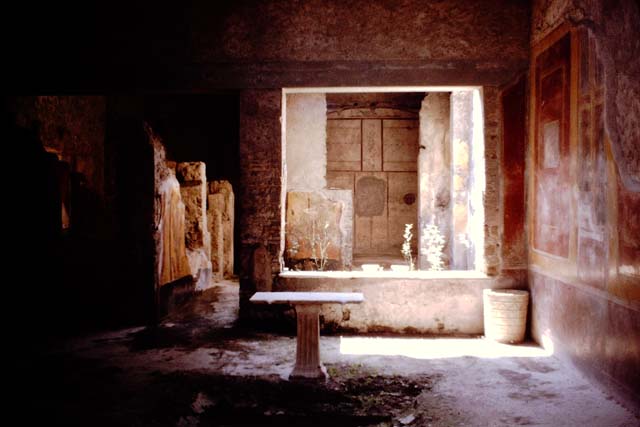 I.7.3 Pompeii. 1959. Looking south across impluvium in atrium towards small garden and rear rooms. Photo by Stanley A. Jashemski.
Source: The Wilhelmina and Stanley A. Jashemski archive in the University of Maryland Library, Special Collections (See collection page) and made available under the Creative Commons Attribution-Non Commercial License v.4. See Licence and use details.
J59f0476
