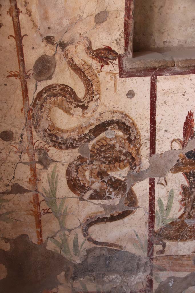 I.7.11 Pompeii. September 2021. 
Painted serpent on north side of painted altar. Photo courtesy of Klaus Heese.

