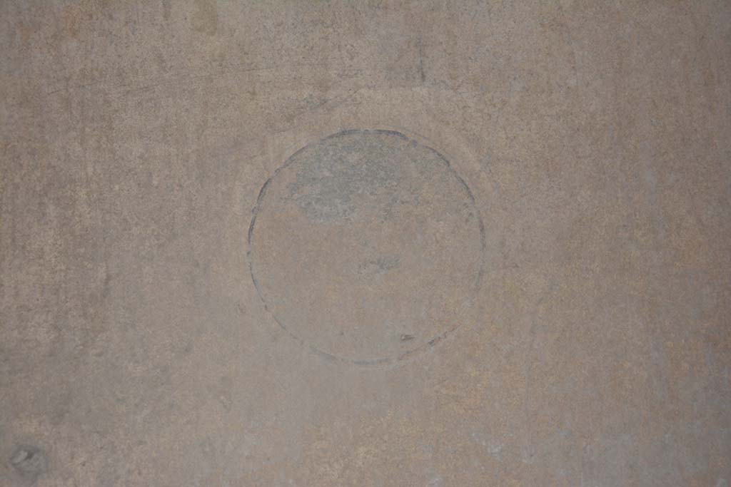 I.8.17 Pompeii. March 2019. Room 14, detail of painted medallion from north end of west wall.
Foto Annette Haug, ERC Grant 681269 DCOR.