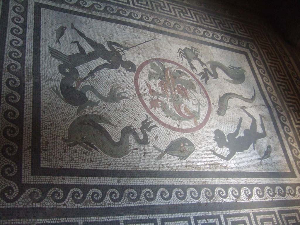 I.10.4 Pompeii. May 2006. Room 48, marine floor mosaic with a bird in the centre.