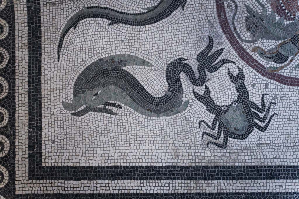 I.10.4 Pompeii. April 2022. Room 48, detail from mosaic flooring. Photo courtesy of Johannes Eber.