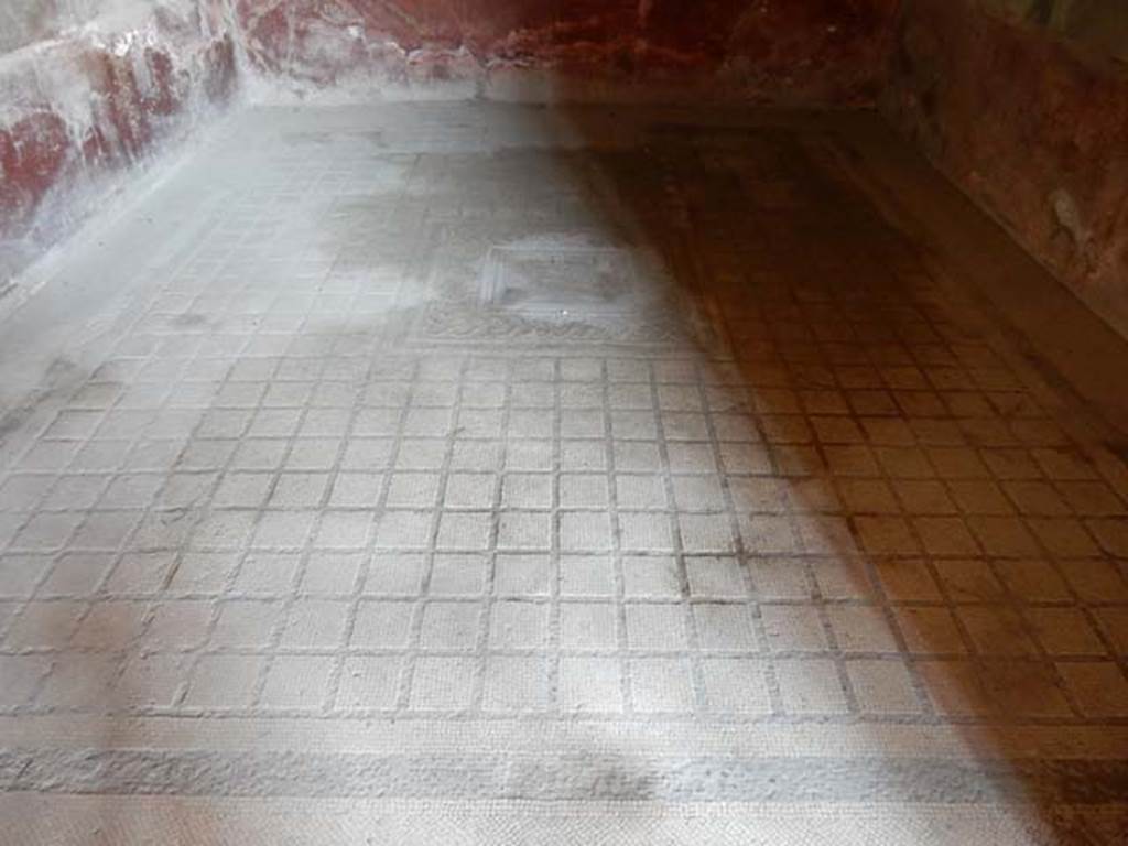 I.10.4 Pompeii. May 2015. Room 11, looking north across mosaic floor. Photo courtesy of Buzz Ferebee.
