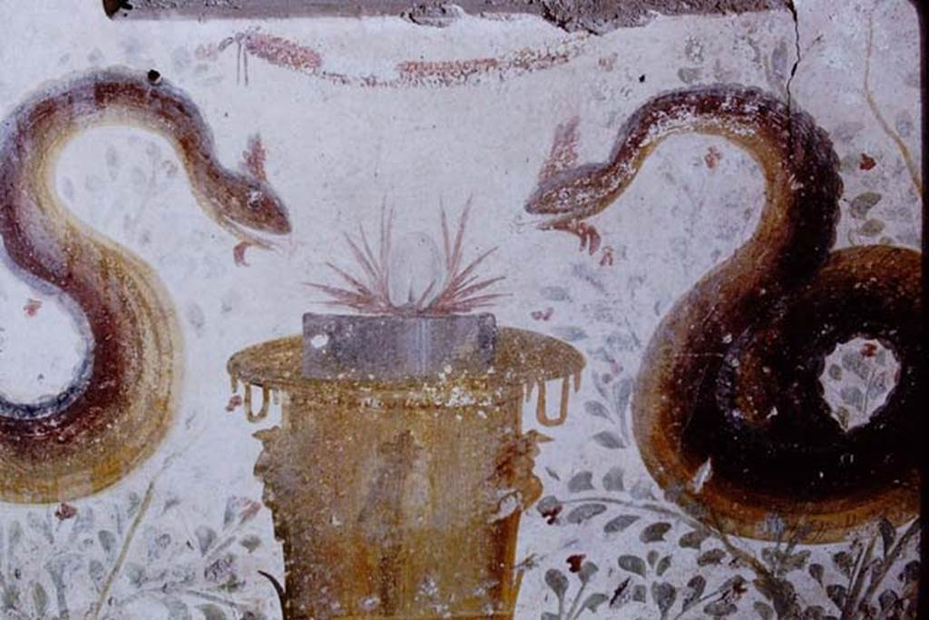 I.11.15 Pompeii. 1968. Detail from painted garden lararium, with altar and two serpents. Photo by Stanley A. Jashemski.
Source: The Wilhelmina and Stanley A. Jashemski archive in the University of Maryland Library, Special Collections (See collection page) and made available under the Creative Commons Attribution-Non Commercial License v.4. See Licence and use details.
J68f1295
