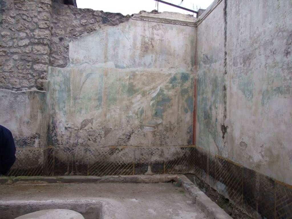 I.11.16 Pompeii. December 2007. Room 6, north wall and north-east corner with style IV garden scenes.