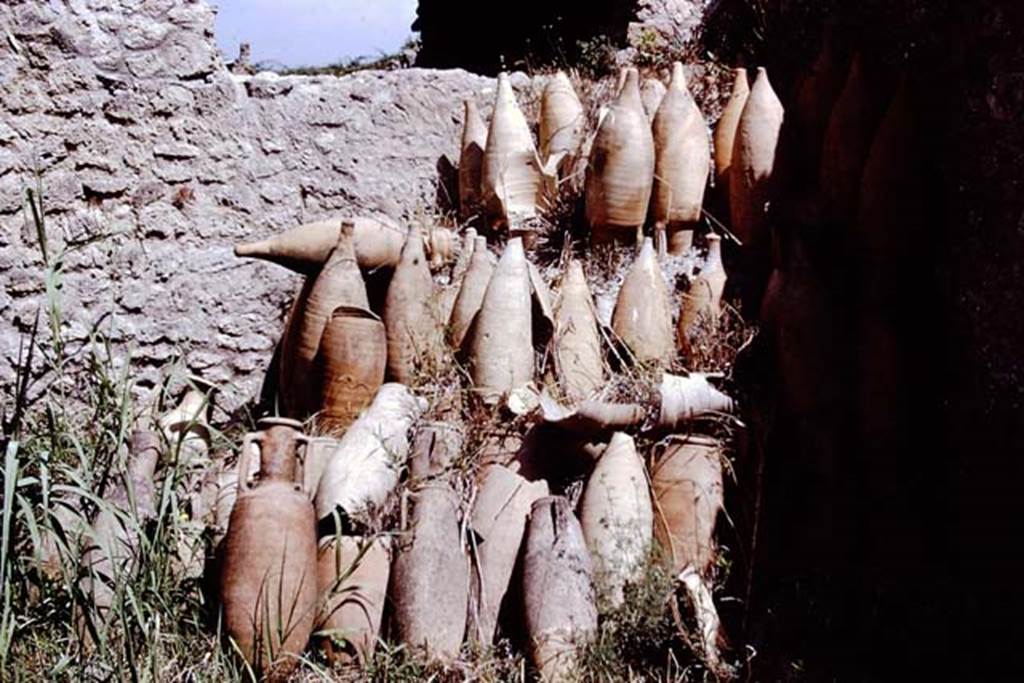 I.12.8 Pompeii. 1972. Room13, empty amphorae in north-east corner of rear garden. Photo by Stanley A. Jashemski. 
Source: The Wilhelmina and Stanley A. Jashemski archive in the University of Maryland Library, Special Collections (See collection page) and made available under the Creative Commons Attribution-Non Commercial License v.4. See Licence and use details. J72f0380
