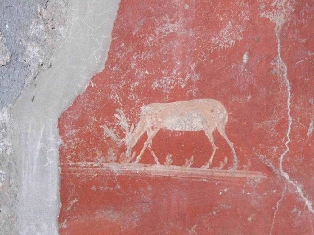 I.12.11 Pompeii.  December 2007.  Triclinium on the west side of the tablinum area.  Painted stag.