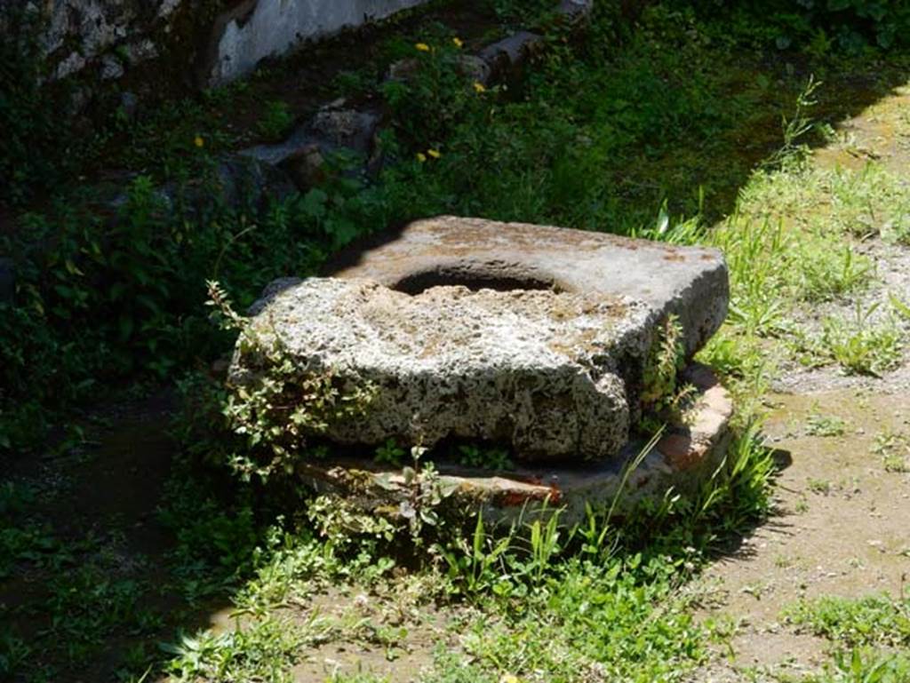 I.14.12, Pompeii. May 2018. Cistern mouth near south wall of triclinium garden. Photo courtesy of Buzz Ferebee
