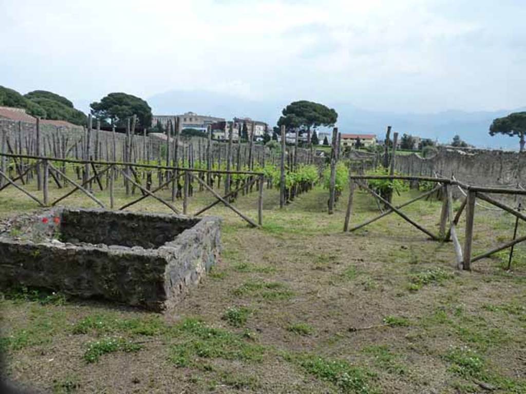 I.15.3 Pompeii. May 2010. Looking south across room 14, garden area.
In the enormous garden at the rear of the houses on the north side of the insula, roots from an orchard, vineyard and vegetable garden were discovered.
According to Laurence a market garden was identified in the south-eastern area of Insula 15. 
Produce included grapes, olives, nuts, fruit and vegetables. These were probably sold elsewhere in the city. 
Similar planting schemes were excavated in the 19th century at VI.6.1 and IX.1.20.”
See Laurence R., 1994. Roman Pompeii: Space and Society. London: Routledge, p. 67.
