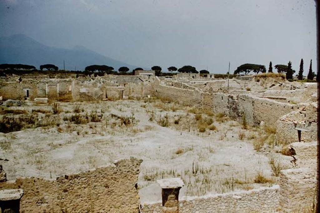 I.15.3 Pompeii. 1959. Looking north across I.15 from above the columns of I.21, with I.15.5 and 6, on the right.
The large hole in garden 14, with the steps, can be seen in the centre on the left.
Photo by Stanley A. Jashemski.
Source: The Wilhelmina and Stanley A. Jashemski archive in the University of Maryland Library, Special Collections (See collection page) and made available under the Creative Commons Attribution-Non Commercial License v.4. See Licence and use details.
J59f0460
