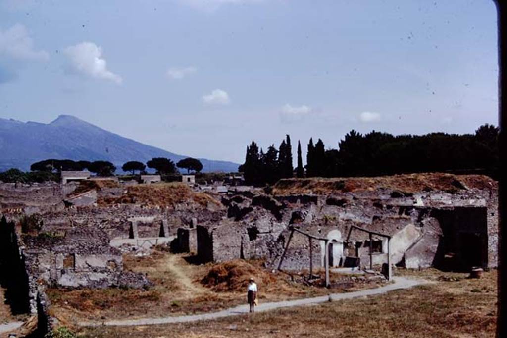 I.20.1 Pompeii. 1972. Looking north across insula with Wilhelmina near the triclinium.  Photo by Stanley A. Jashemski. 
Source: The Wilhelmina and Stanley A. Jashemski archive in the University of Maryland Library, Special Collections (See collection page) and made available under the Creative Commons Attribution-Non Commercial License v.4. See Licence and use details. J72f0215

