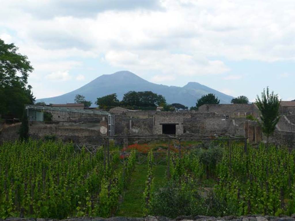 I.22.3/2/1 Pompeii. May 2011. Looking north across insula, from rear of I.22.1, 2 and 3.
Photo courtesy of Buzz Ferebee.

