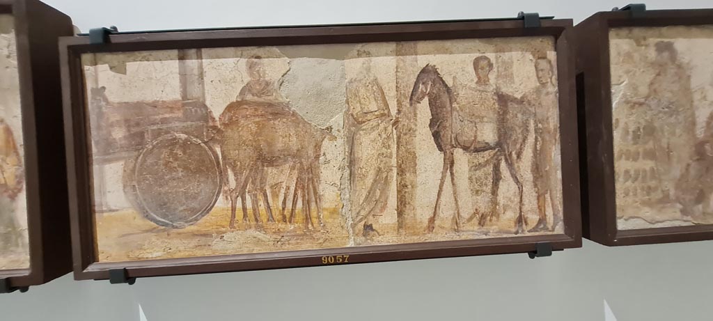 II.4.3 Pompeii. April 2023. Paintings of the Forum frieze, on display in “Campania Romana” gallery in Naples Archaeological Museum.
In centre (inv. 9057) – Carro e uomo; mulo con soma e tre uomini. 
(Cart and man; mule with load and three men). Photo courtesy of Giuseppe Ciaramella.
