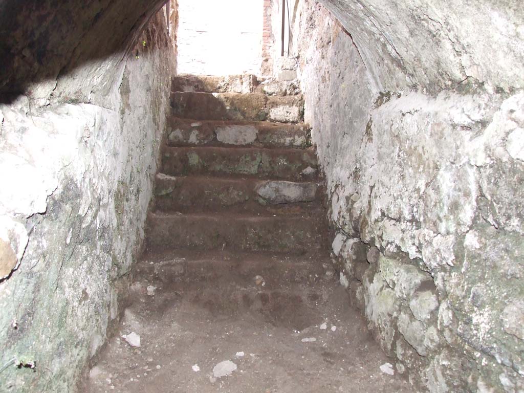V.1.26 Pompeii. March 2009. Steps from cellar up to east side of peristyle garden.