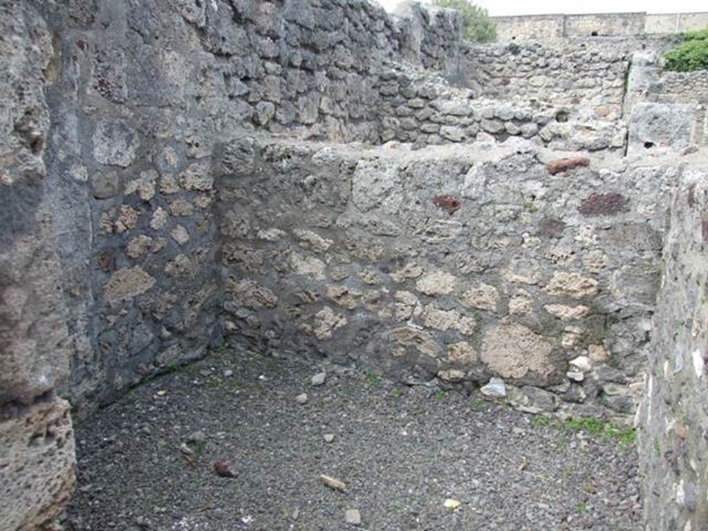 V.2.6 Pompeii. March 2009. West wall, north-west corner and north wall of rear room. 