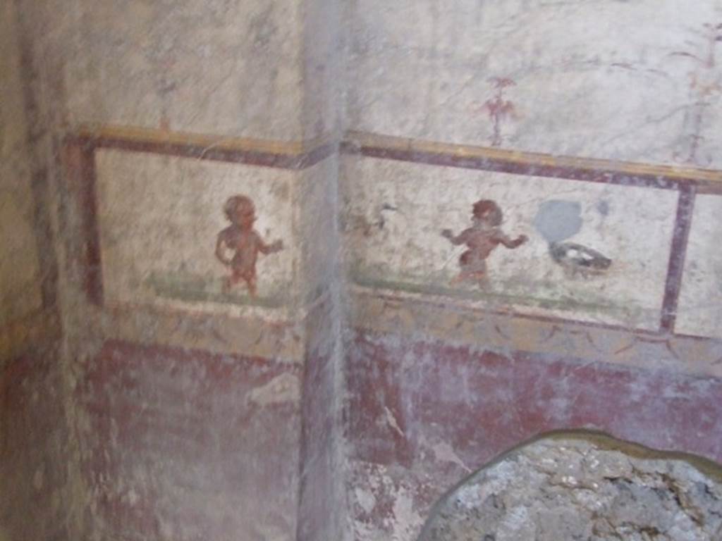 V.2.i Pompeii. December 2007. Room 9, east wall, painting of pygmies with two ibis, at north end. The red zoccolo was hardly preserved, but would have had panels with plants in compartments, then a yellow frieze.
Above this was a predella with a white background painted with pygmies, which went all around the walls of the room.
