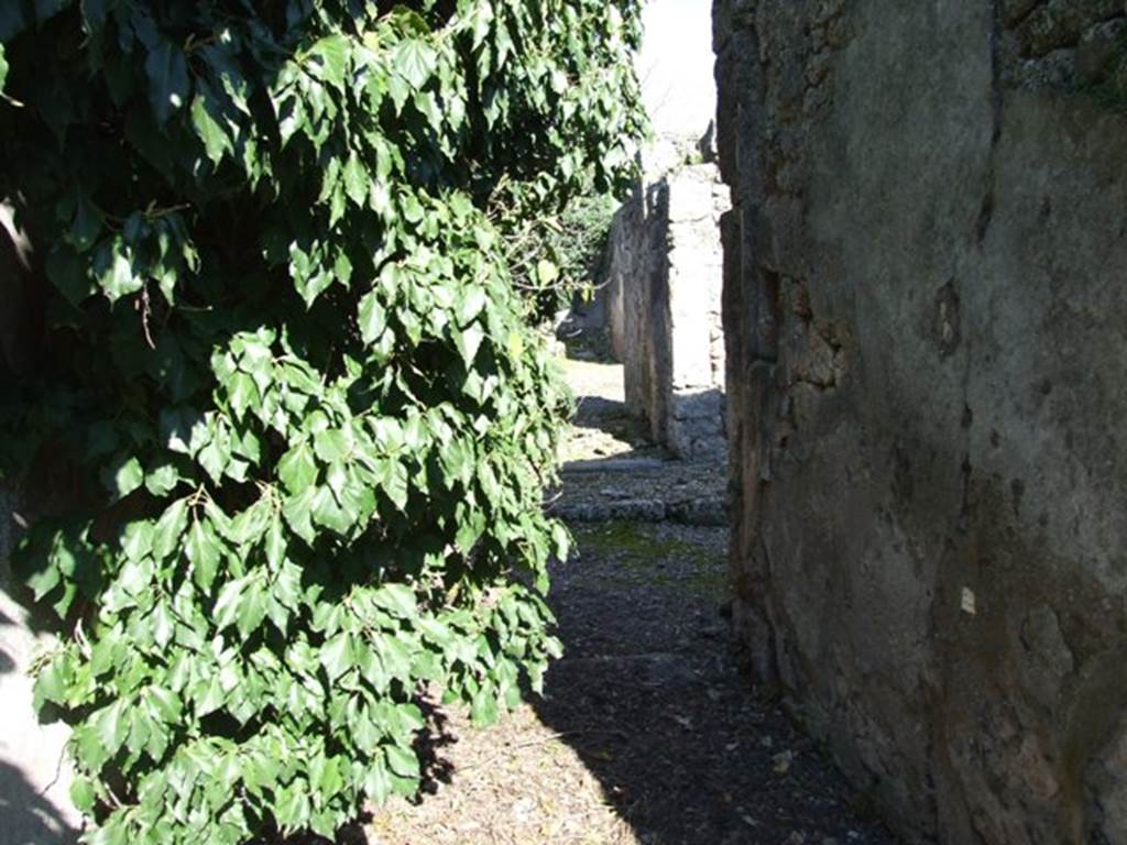 V.3.11 Pompeii. March 2009. Entrance corridor, looking east to the Vicolo di Lucrezio Frontone.
