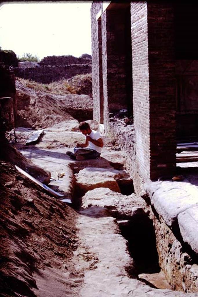 VI.2.4 Pompeii. 1970. Looking south along garden portico during excavations. Photo by Stanley A. Jashemski.
Source: The Wilhelmina and Stanley A. Jashemski archive in the University of Maryland Library, Special Collections (See collection page) and made available under the Creative Commons Attribution-Non Commercial License v.4. See Licence and use details.
J70f0596
See Laidlaw, A and Stella, M.S (2014): The House of Sallust in Pompeii , Portsmouth, Rhode Island, (p. 200, S.28)
