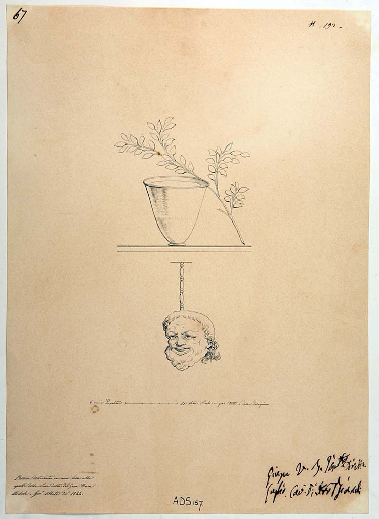VI.5.3 Pompeii. Drawing by Giuseppe Abbate, 1844, of cup and branch, with head of Silenus below, now disappeared.
To which room these could be attributed is unknown, but from this house.  
Now in Naples Archaeological Museum. Inventory number ADS 157.
Photo © ICCD. http://www.catalogo.beniculturali.it
Utilizzabili alle condizioni della licenza Attribuzione - Non commerciale - Condividi allo stesso modo 2.5 Italia (CC BY-NC-SA 2.5 IT)
