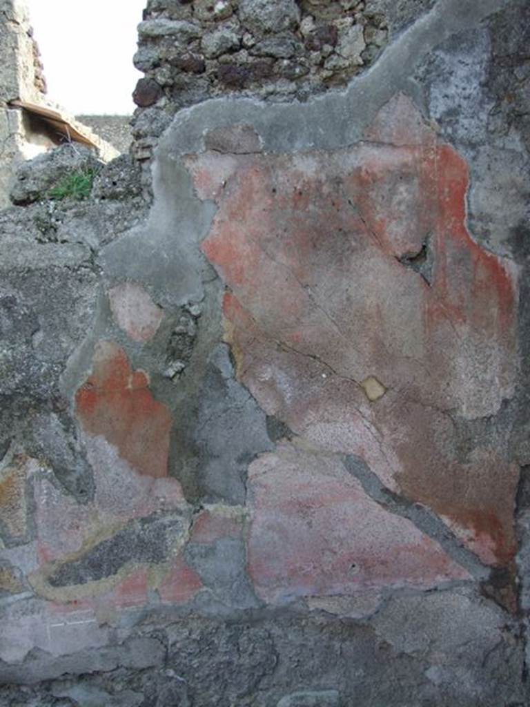 VI.7.6 Pompeii. March 2009. Room 10, west end of south wall of triclinium. 