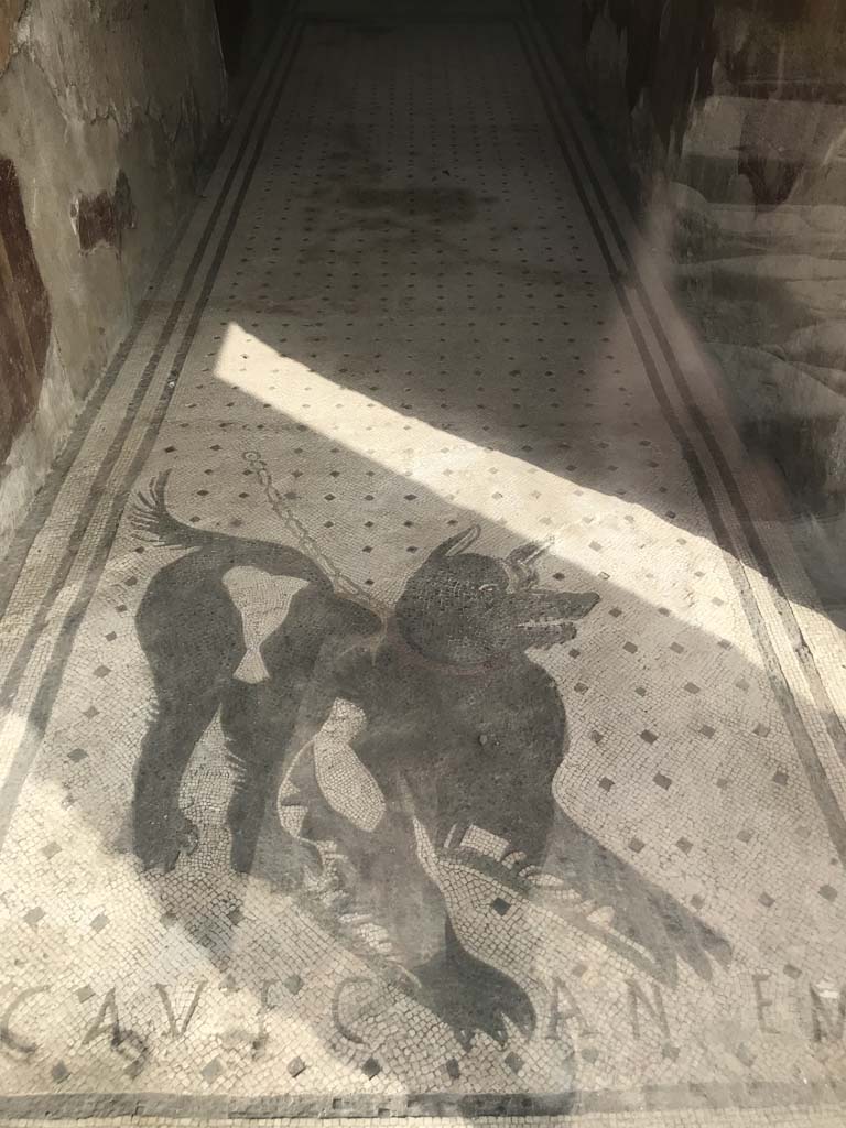 VI.8.5, Pompeii. April 2019. Looking north through entrance towards watchdog (Cave Canem mosaic). 
Photo courtesy of Rick Bauer.
