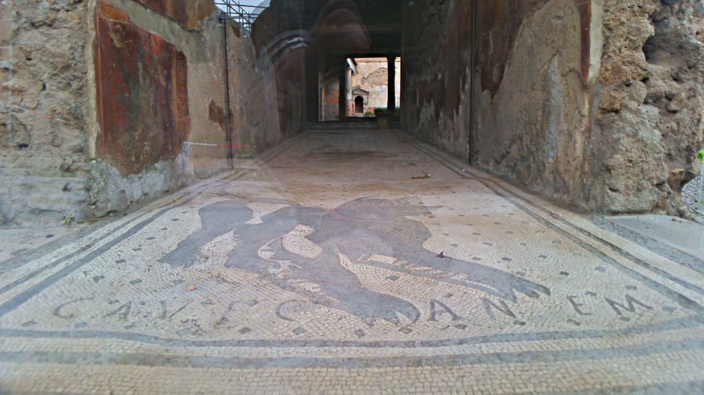 VI.8.5 Pompeii. 2016/2017. Looking north from mosaic in entrance corridor. Photo courtesy of Giuseppe Ciaramella.
