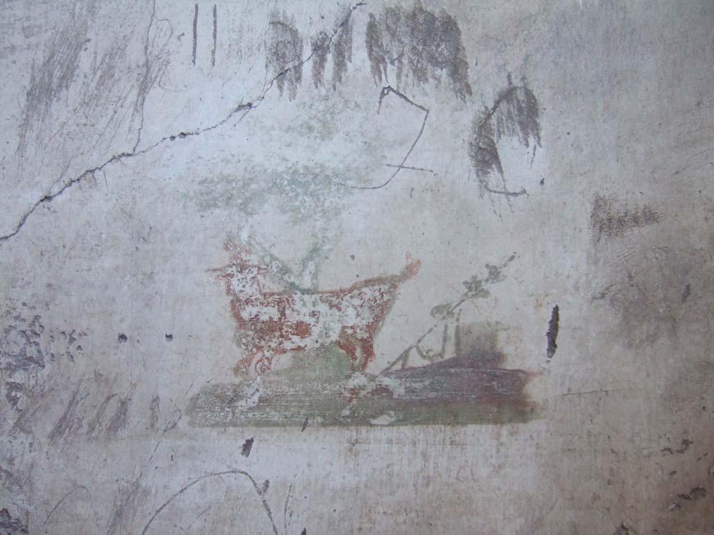 VI.8.23 Pompeii. September 2005. North wall of cubiculum, painted animal.