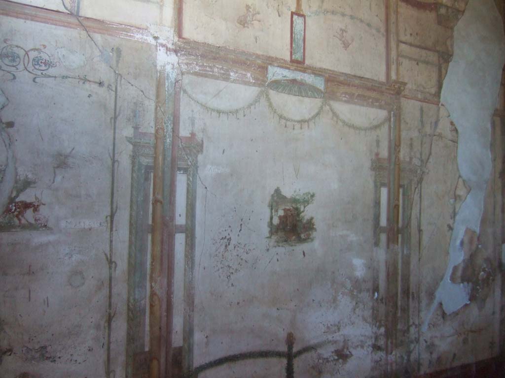 VI.8.23 Pompeii. September 2005. South wall of cubiculum.