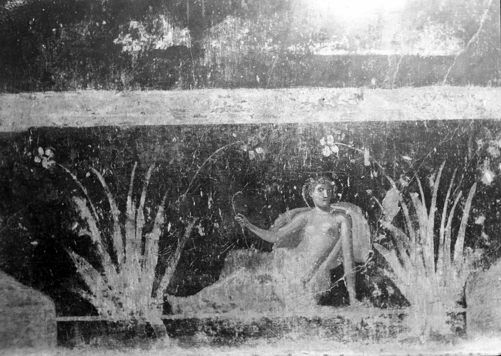 VI.9.2 Pompeii. W.601. Room 27, painting of nymph from dado on west wall.
Photo by Tatiana Warscher. Photo © Deutsches Archäologisches Institut, Abteilung Rom, Arkiv. 
