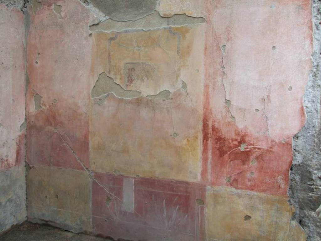VI.11.10 Pompeii. March 2009. Room 29, north wall.