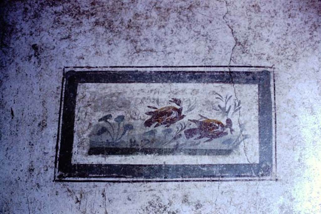 VI.15.1 Pompeii. 1966. Painted panel from small room on north side of atrium. 
Photo by Stanley A. Jashemski.
Source: The Wilhelmina and Stanley A. Jashemski archive in the University of Maryland Library, Special Collections (See collection page) and made available under the Creative Commons Attribution-Non Commercial License v.4. See Licence and use details. J66f0306    
According to Wilhelmina’s notes, this came from the middle panel of the west wall.
