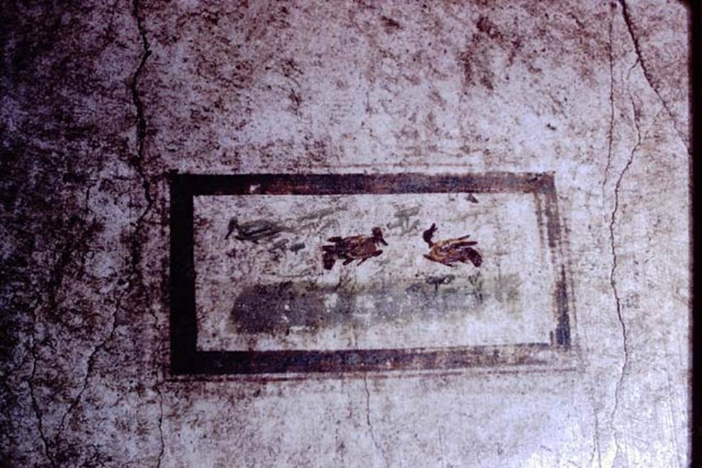 VI.15.1 Pompeii. 1966. Painted panel from small room on north side of atrium. Photo by Stanley A. Jashemski.
Source: The Wilhelmina and Stanley A. Jashemski archive in the University of Maryland Library, Special Collections (See collection page) and made available under the Creative Commons Attribution-Non Commercial License v.4. See Licence and use details. J66f0308 
According to Wilhelmina’s notes, this came from the middle panel of the east wall.
