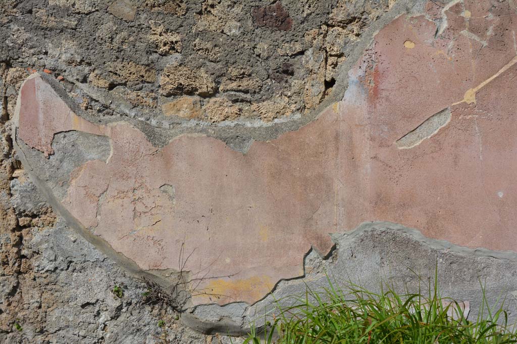 VI 15 5 Pompeii. March 2019. North ala 6, detail of painted decoration on north wall.
Foto Annette Haug, ERC Grant 681269 DCOR.
