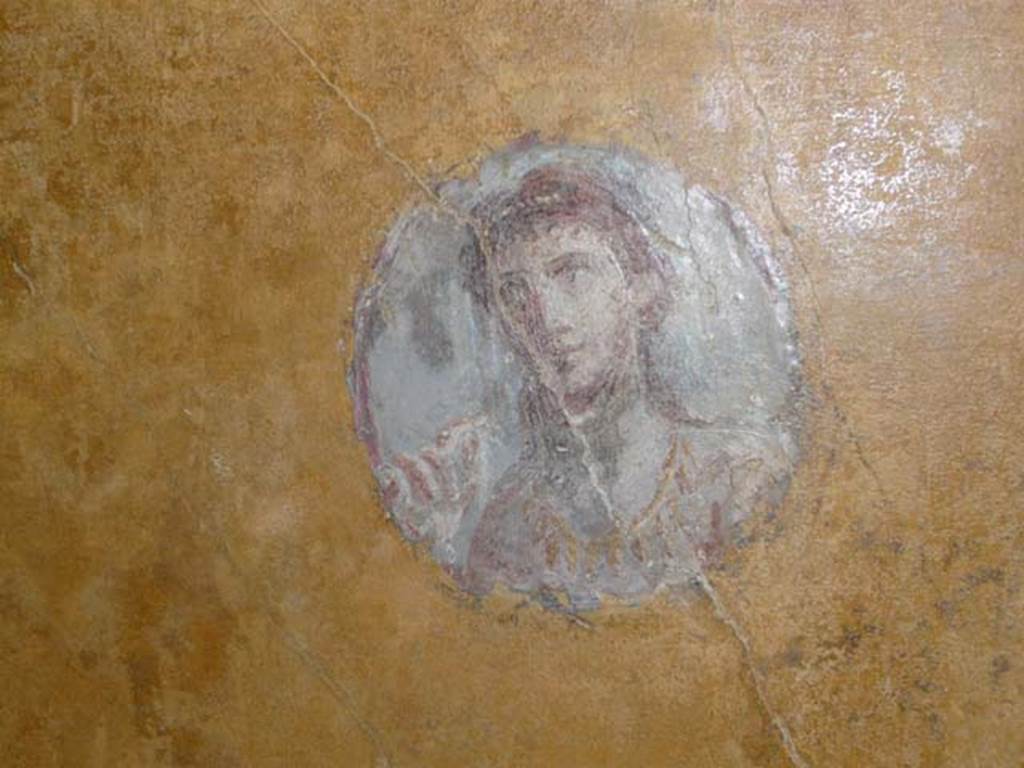 VI.16.7 Pompeii. June 2013. 
Room R, painted medallion on east end of north wall, after restoration.
Photo courtesy of Buzz Ferebee.
