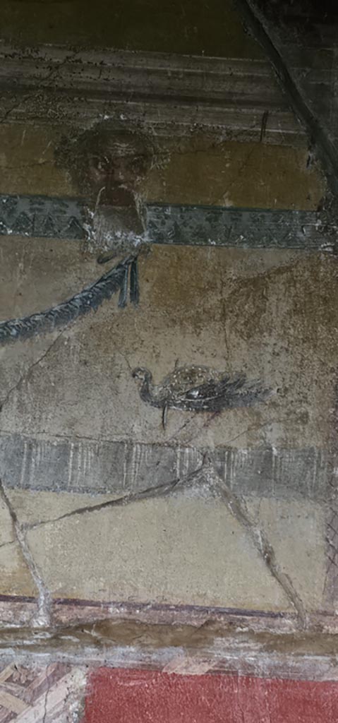 VI.16.15 Pompeii. December 2023. 
Detail from upper north end of west wall of room F. Photo courtesy of Miriam Colomer.
