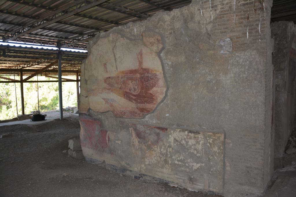 VI.17.41 Pompeii. September 2019. North wall of tablinum.
Foto Annette Haug, ERC Grant 681269 DCOR.
