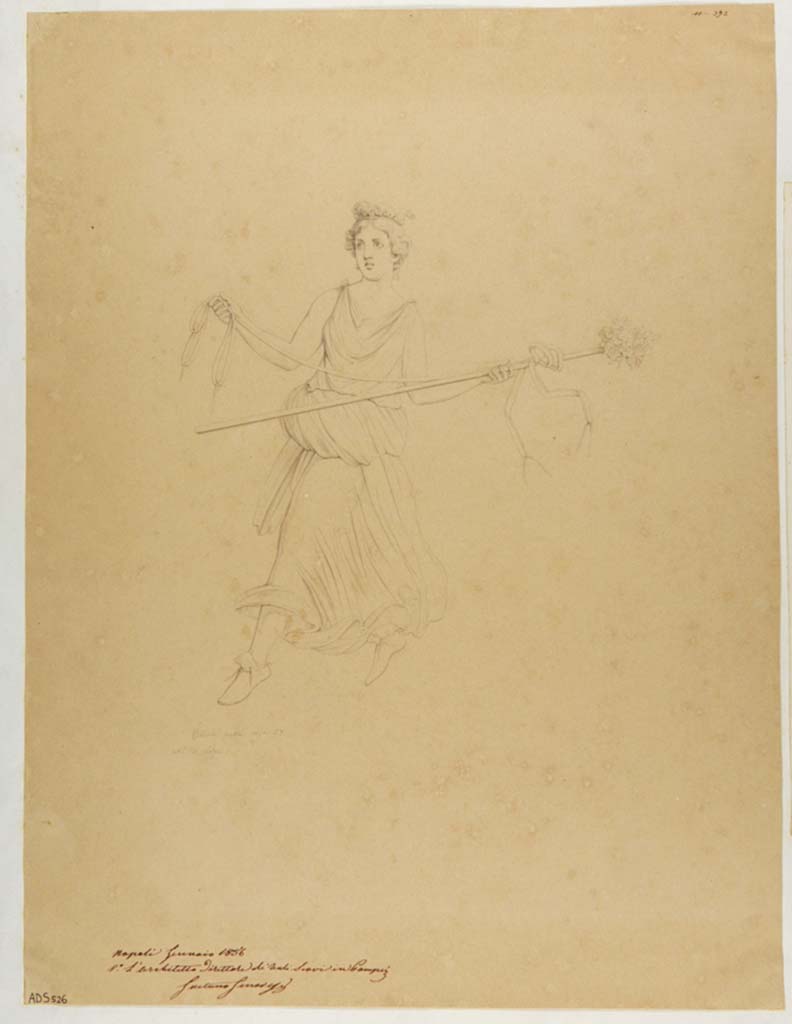 VII.1.25 Pompeii. Peristyle 31. Drawing by Nicola La Volpe, 1856, of figure of Maenad in flight with thyrsus and ribbons.
This would have probably been seen on the west wall. Now in Naples Archaeological Museum. Inventory number ADS 526.
Photo © ICCD. http://www.catalogo.beniculturali.it
Utilizzabili alle condizioni della licenza Attribuzione - Non commerciale - Condividi allo stesso modo 2.5 Italia (CC BY-NC-SA 2.5 IT)
See Helbig, W., 1868. Wandgemälde der vom Vesuv verschütteten Städte Campaniens. Leipzig: Breitkopf und Härtel, (490).
