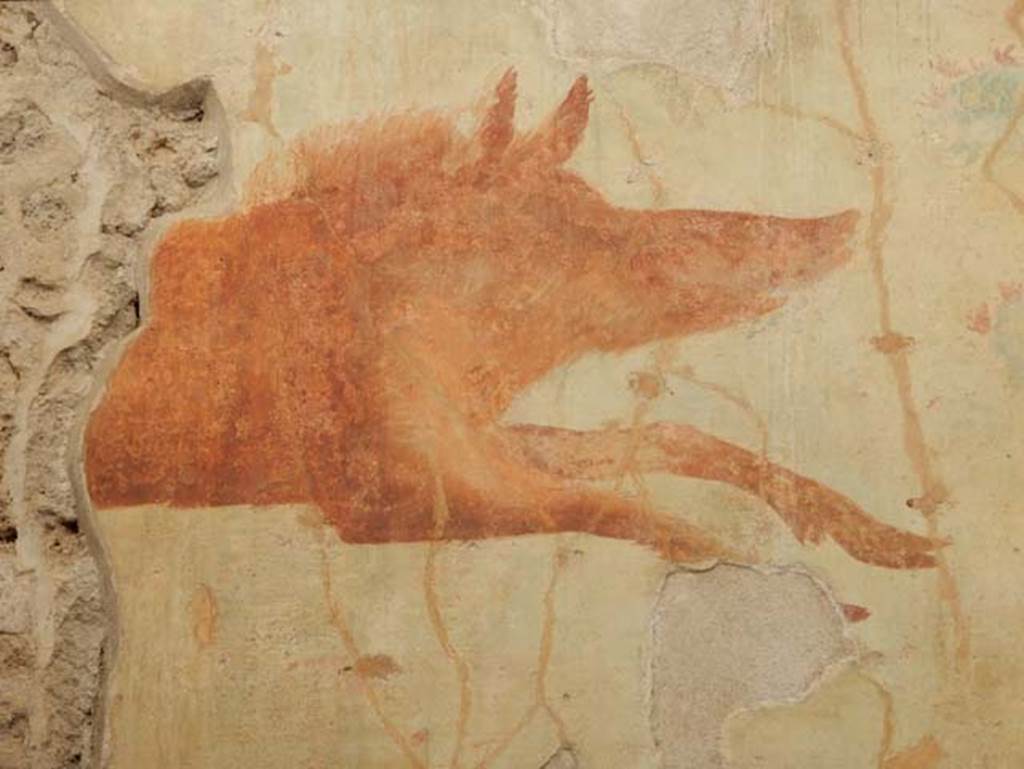 VII.2.45 Pompeii, May 2018. Detail of boar from wall behind fountain. Photo courtesy of Buzz Ferebee.