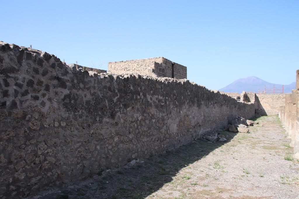 VII.7.32 Pompeii. October 2023. Looking north along west wall of portico. Photo courtesy of Klaus Heese.