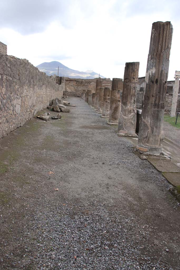VII.7.32, Pompeii. October 2020. Looking north along west portico. Photo courtesy of Klaus Heese.