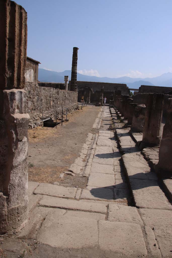 VII.7.32 Pompeii. September 2019. Looking south along west side. Photo courtesy of Klaus Heese.