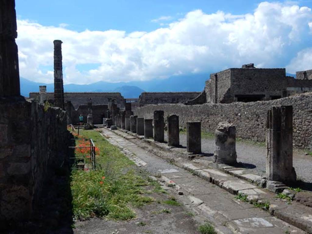 VII.7.32 Pompeii. May 2018. Looking south along west side. Photo courtesy of Buzz Ferebee.