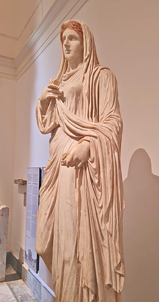 VII.9.1 Pompeii. April 2023. Detail of white marble statue of Eumachia.
On display in “Campania Romana” gallery in Naples Archaeological Museum, inv. 6232.
Photo courtesy of Giuseppe Ciaramella.

