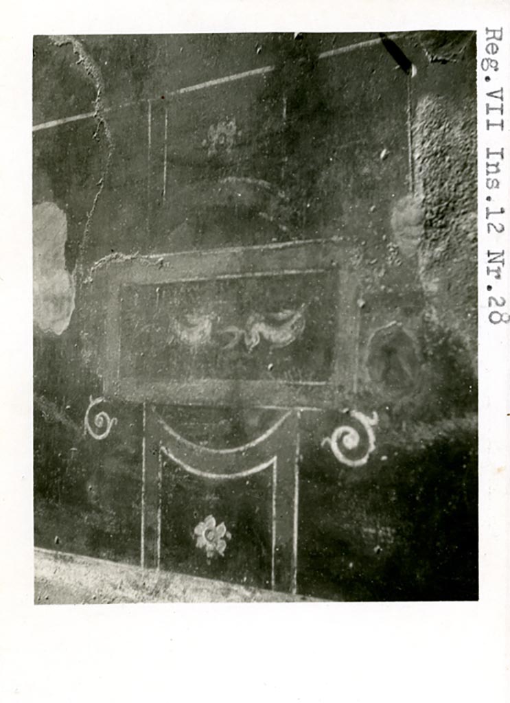 VII.12.28 Pompeii. Pre-1937-39. 
Painted panel with dolphins from south end of west wall of the exedra.
Photo courtesy of American Academy in Rome, Photographic Archive. Warsher collection no. 679.
