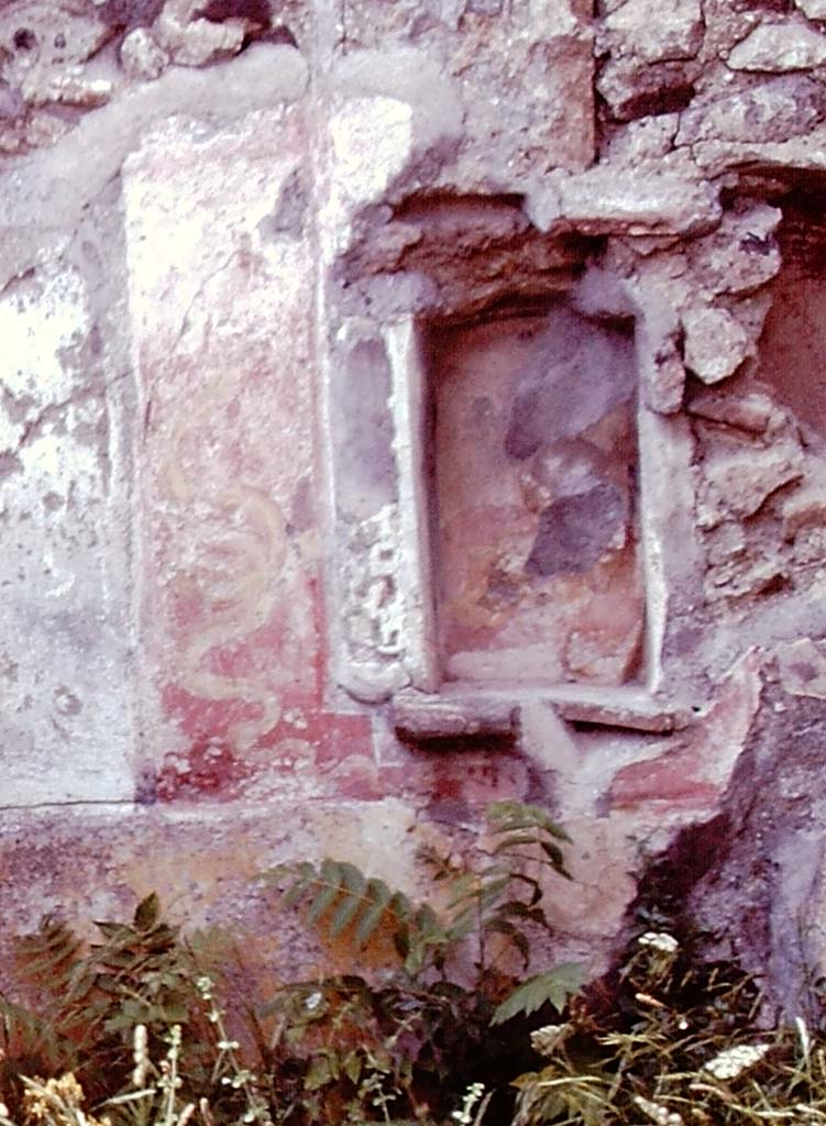 VII.15.5 Pompeii, 1978. Detail of lararium painting with yellow serpents on north wall of garden area. 
Detail from photo by Stanley A. Jashemski.   
Source: The Wilhelmina and Stanley A. Jashemski archive in the University of Maryland Library, Special Collections (See collection page) and made available under the Creative Commons Attribution-Non-Commercial License v.4. See Licence and use details.
J78f0237
